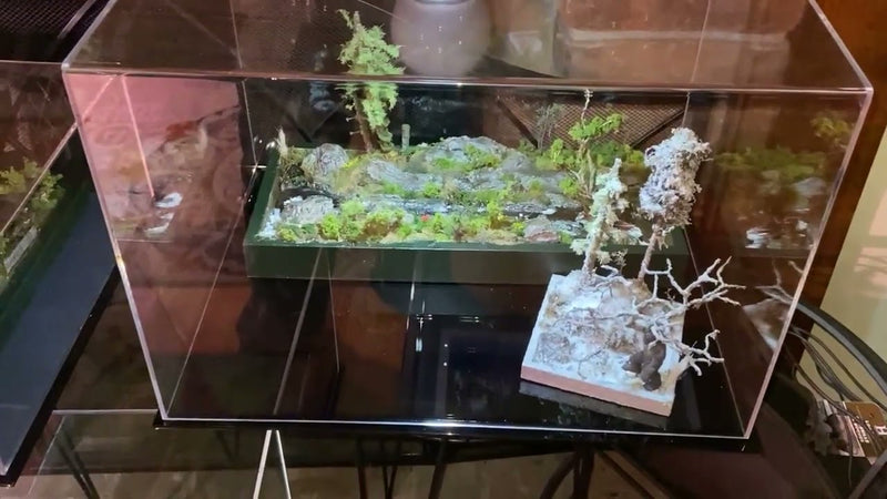 Better Display Diorama Display Cases for your Valuables