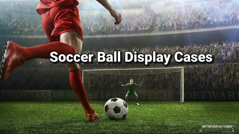 Soccer Ball Display Cases