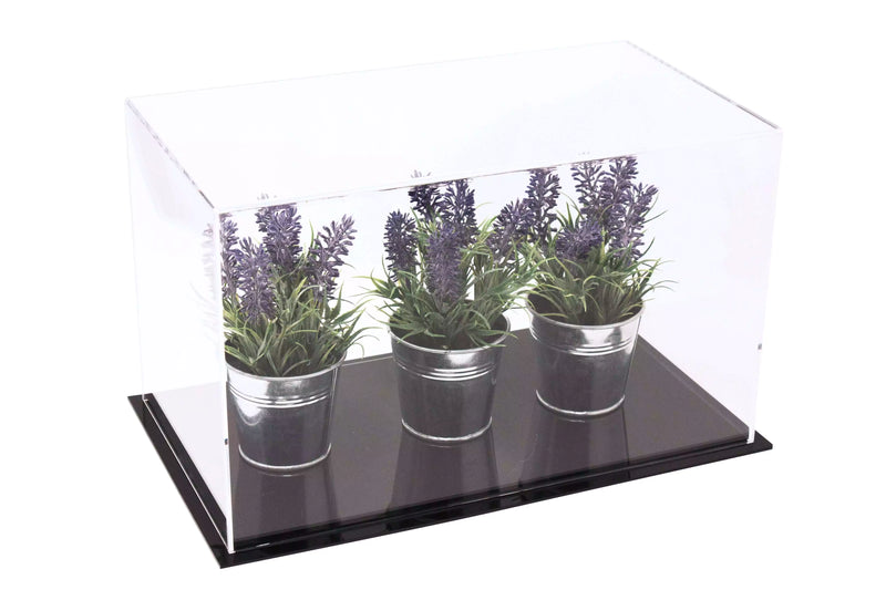 Display Case With Clear Base For Sale On BetterDisplayCases