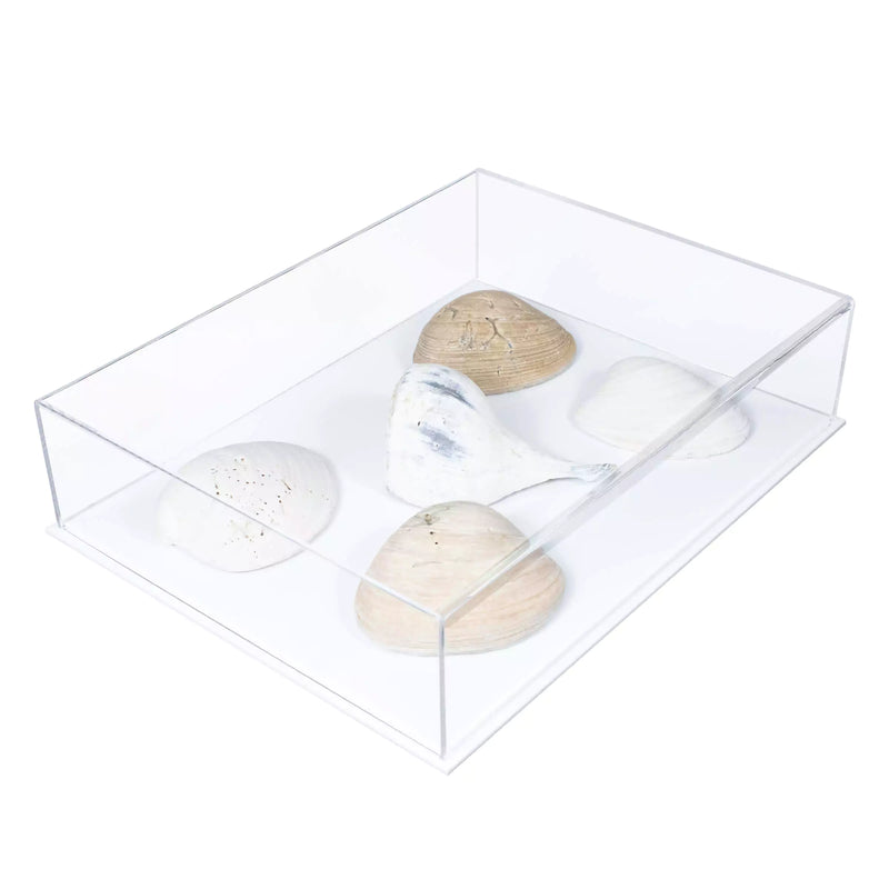 Display Case With Clear Base For Sale On BetterDisplayCases